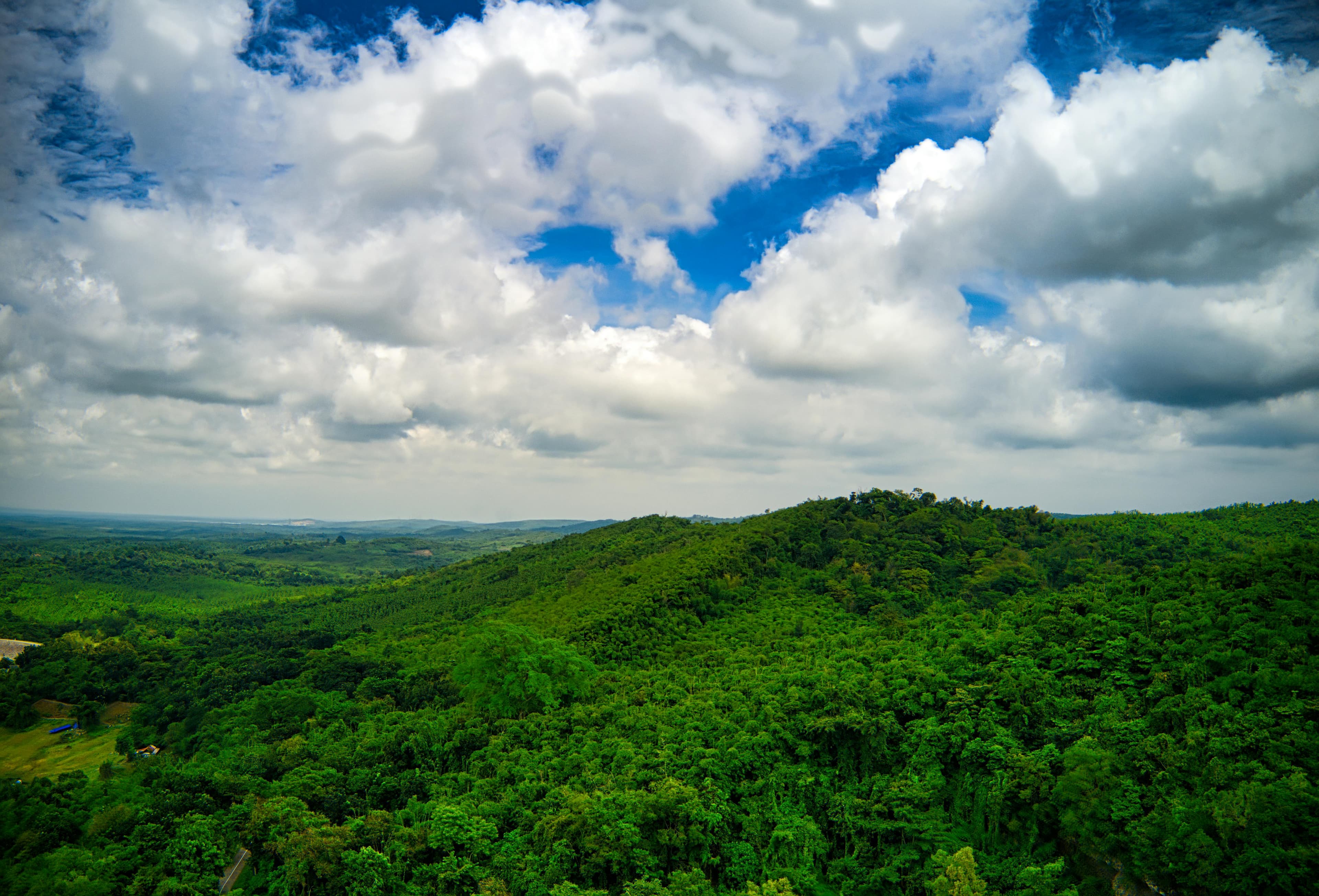 Image of Restoring Tanzania’s Ecosystems