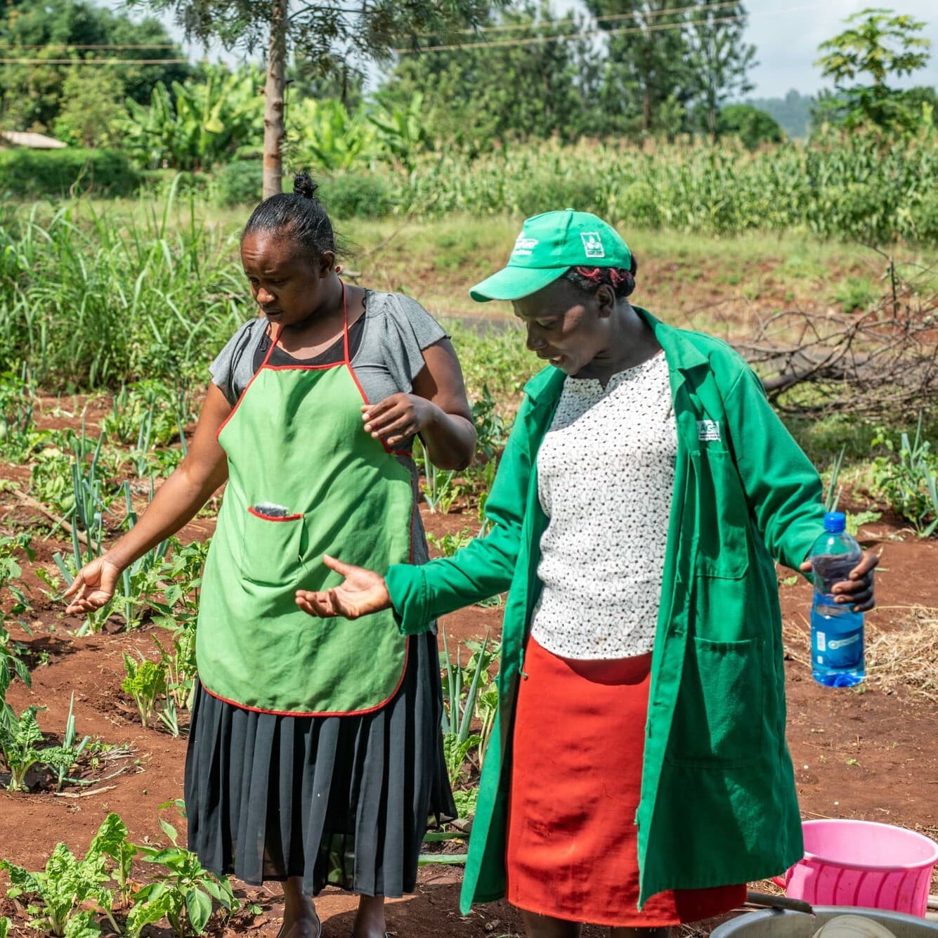 Image of Climate-Smart Farming in Kenya