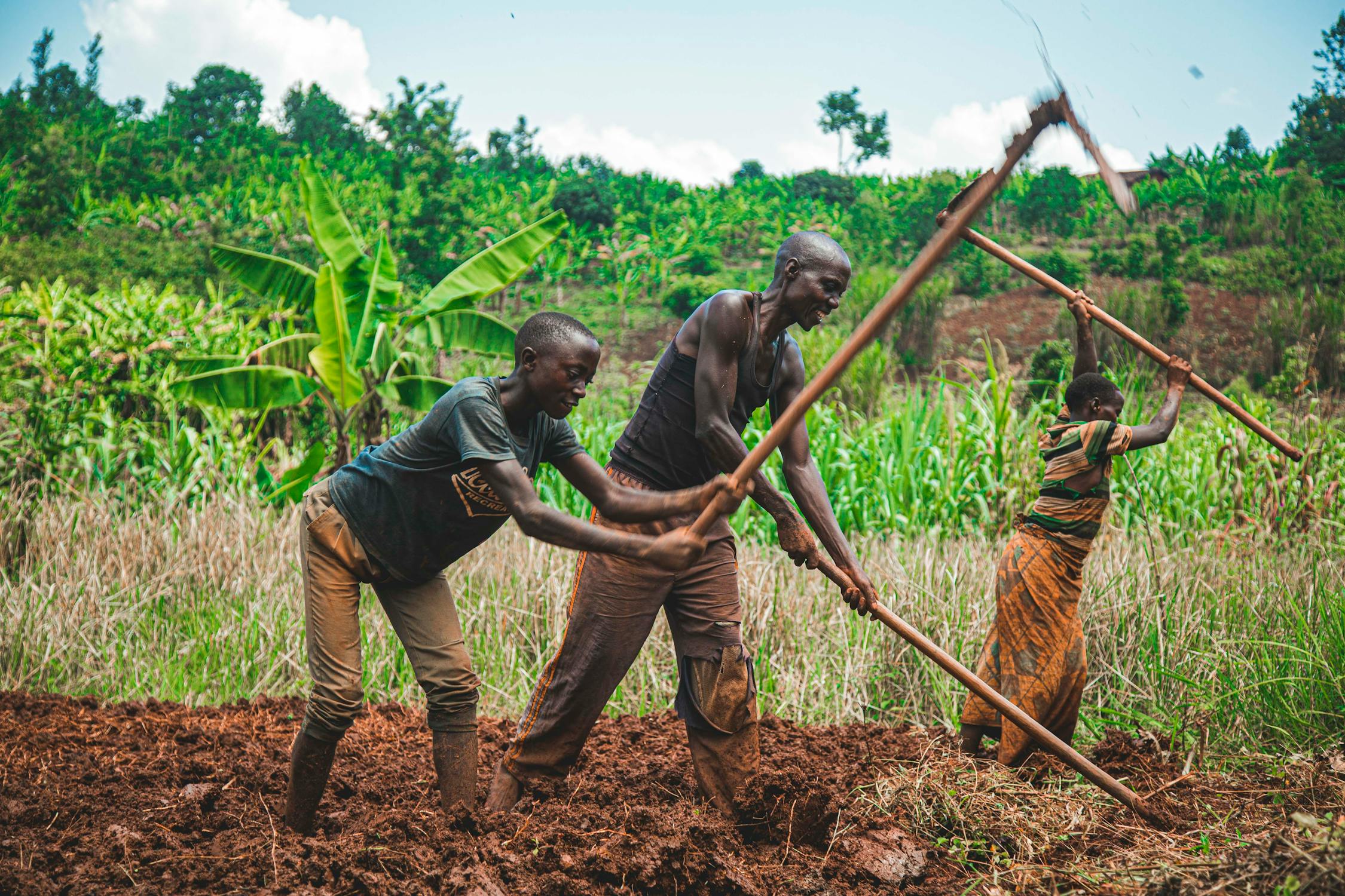  Climate Smart Agriculture in Nigeria