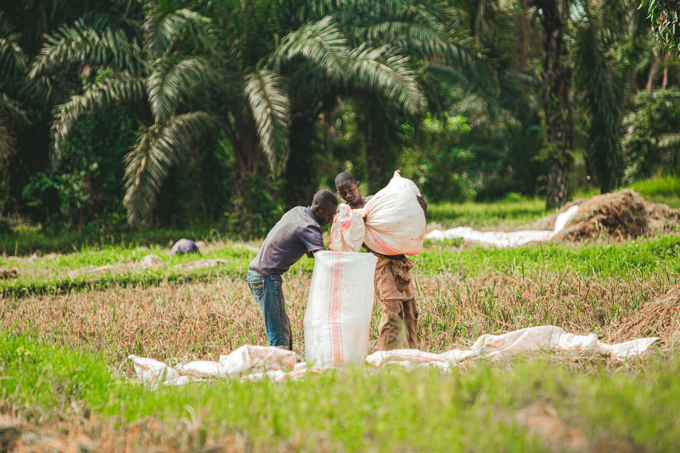 Rejuvenating Buvuma Island in Uganda